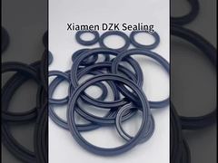 عرض توضيحي لختم حلقة O مزدوجة من مطاط APA NBR لأسطوانة هوائية بمكبس وقضيب مكبس